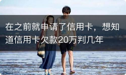 在之前就申请了信用卡，想知道信用卡欠款20万判几年