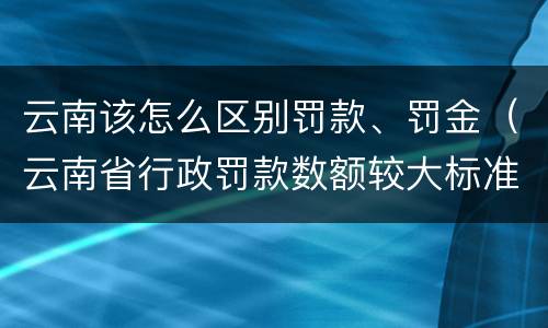 云南该怎么区别罚款、罚金（云南省行政罚款数额较大标准）