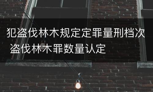 发行权及发表权主要不同之处有何 发行权及发表权主要不同之处有何特点