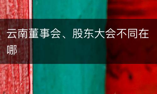 云南董事会、股东大会不同在哪