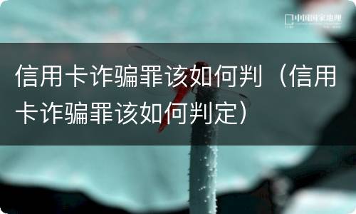 信用卡诈骗罪该如何判（信用卡诈骗罪该如何判定）