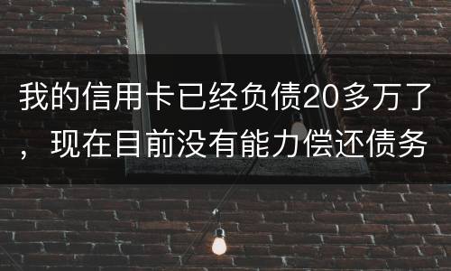 我的信用卡已经负债20多万了，现在目前没有能力偿还债务，请问可以申请破产吗