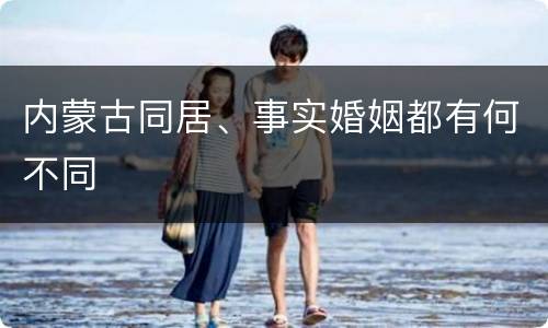 内蒙古同居、事实婚姻都有何不同