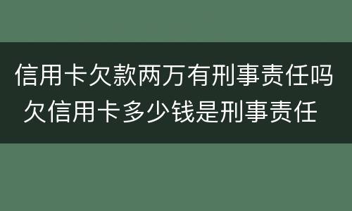 信用卡欠款两万有刑事责任吗 欠信用卡多少钱是刑事责任