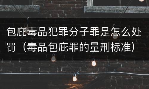 包庇毒品犯罪分子罪是怎么处罚（毒品包庇罪的量刑标准）