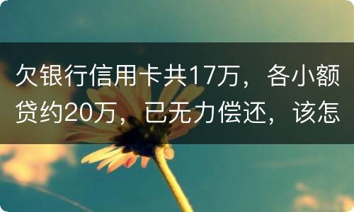 欠银行信用卡共17万，各小额贷约20万，已无力偿还，该怎么办