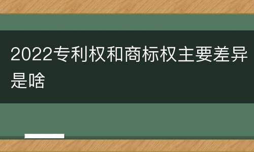 2022专利权和商标权主要差异是啥