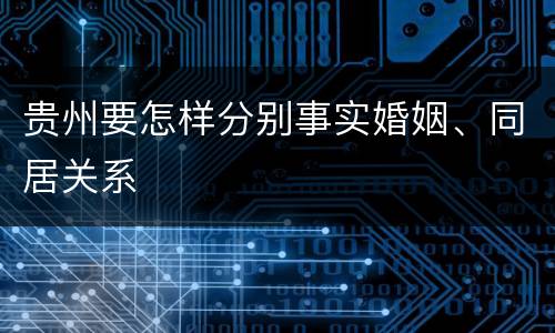 贵州要怎样分别事实婚姻、同居关系