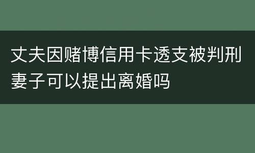 丈夫因赌博信用卡透支被判刑妻子可以提出离婚吗