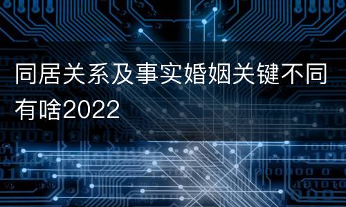 同居关系及事实婚姻关键不同有啥2022