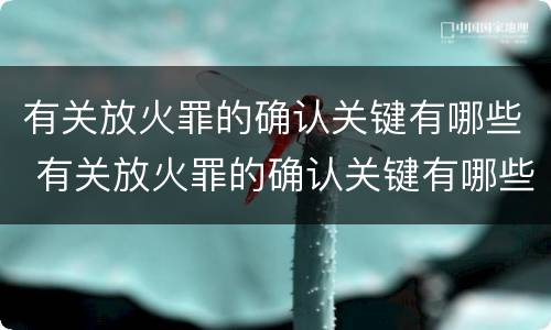 有关放火罪的确认关键有哪些 有关放火罪的确认关键有哪些规定