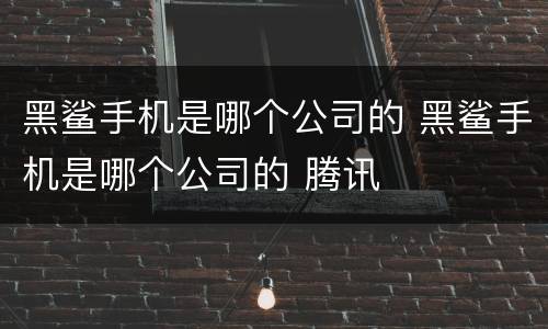 黑鲨手机是哪个公司的 黑鲨手机是哪个公司的 腾讯