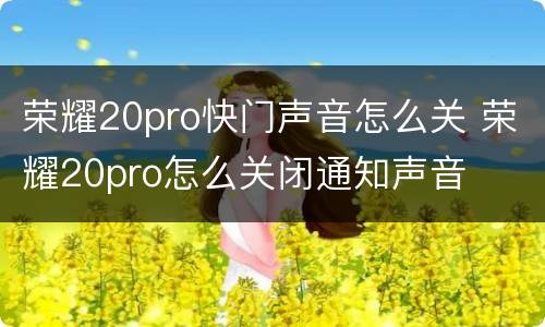 荣耀20pro快门声音怎么关 荣耀20pro怎么关闭通知声音