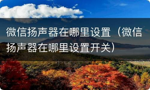 微信扬声器在哪里设置（微信扬声器在哪里设置开关）