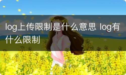 log上传限制是什么意思 log有什么限制