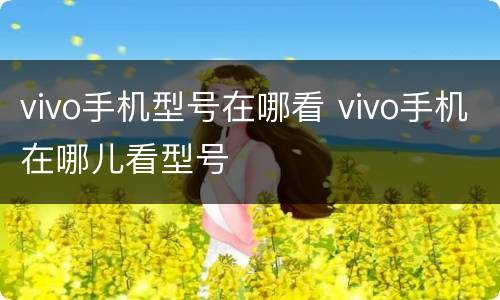 vivo手机型号在哪看 vivo手机在哪儿看型号