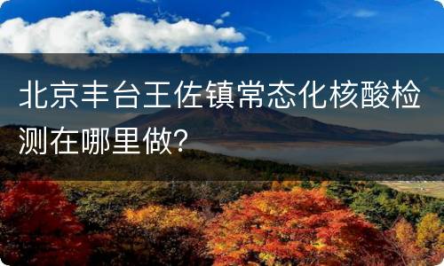 北京丰台王佐镇常态化核酸检测在哪里做？