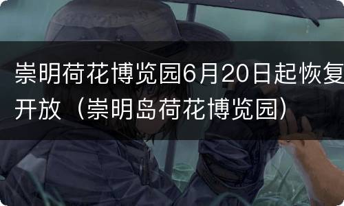 崇明荷花博览园6月20日起恢复开放（崇明岛荷花博览园）