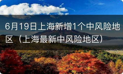 6月19日上海新增1个中风险地区（上海最新中风险地区）