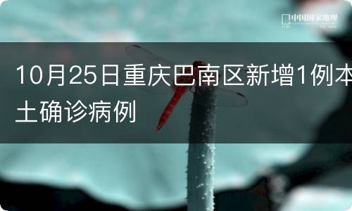 10月25日重庆巴南区新增1例本土确诊病例