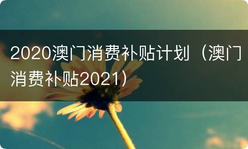 2020澳门消费补贴计划（澳门消费补贴2021）