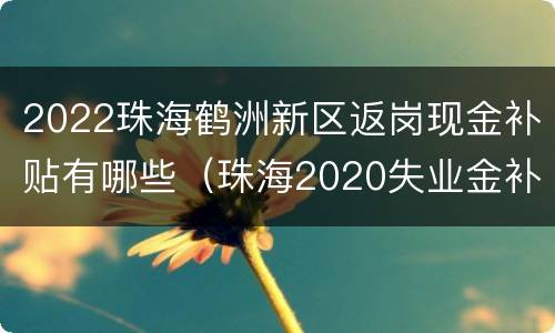 2022珠海鹤洲新区返岗现金补贴有哪些（珠海2020失业金补贴最新消息）