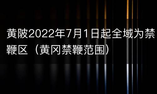 黄陂2022年7月1日起全域为禁鞭区（黄冈禁鞭范围）